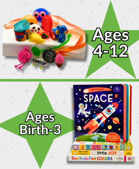 Summer Reading 2025 Children's Prize: Board Book or Toy Capsule
